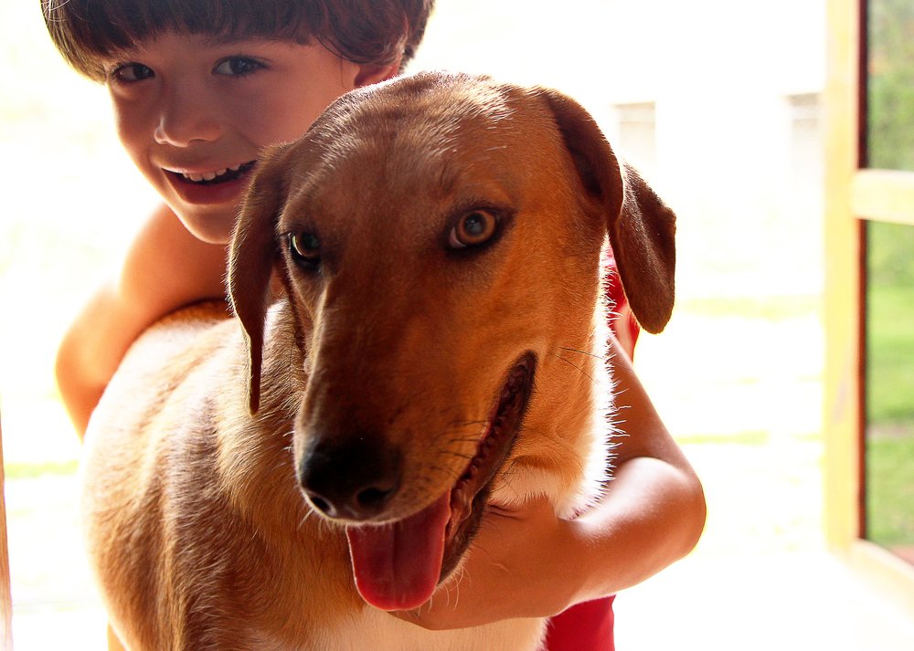 Photograph by Tatiana Barthem