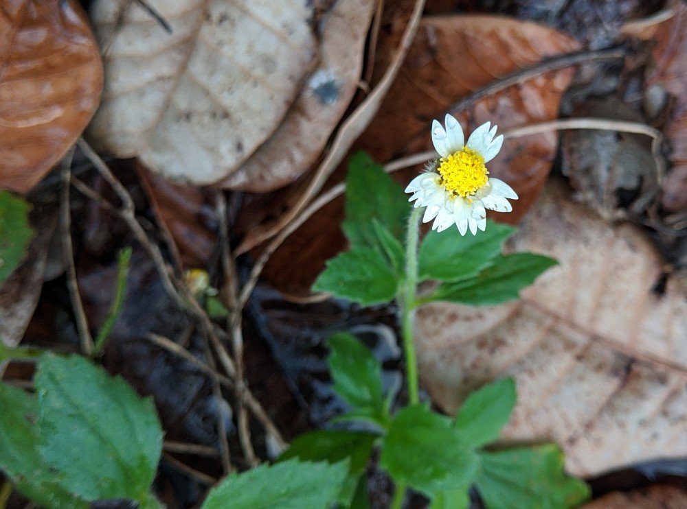 Photograph by Danicea Taylor