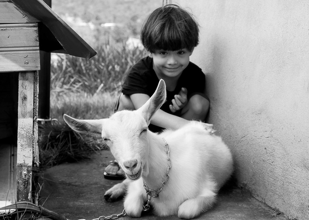 Photograph by Tatiana Barthem