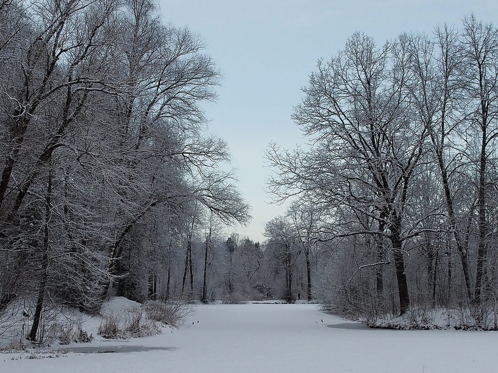 Прогулка по усадьбе Середниково