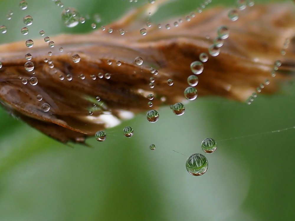 Почти парад планет