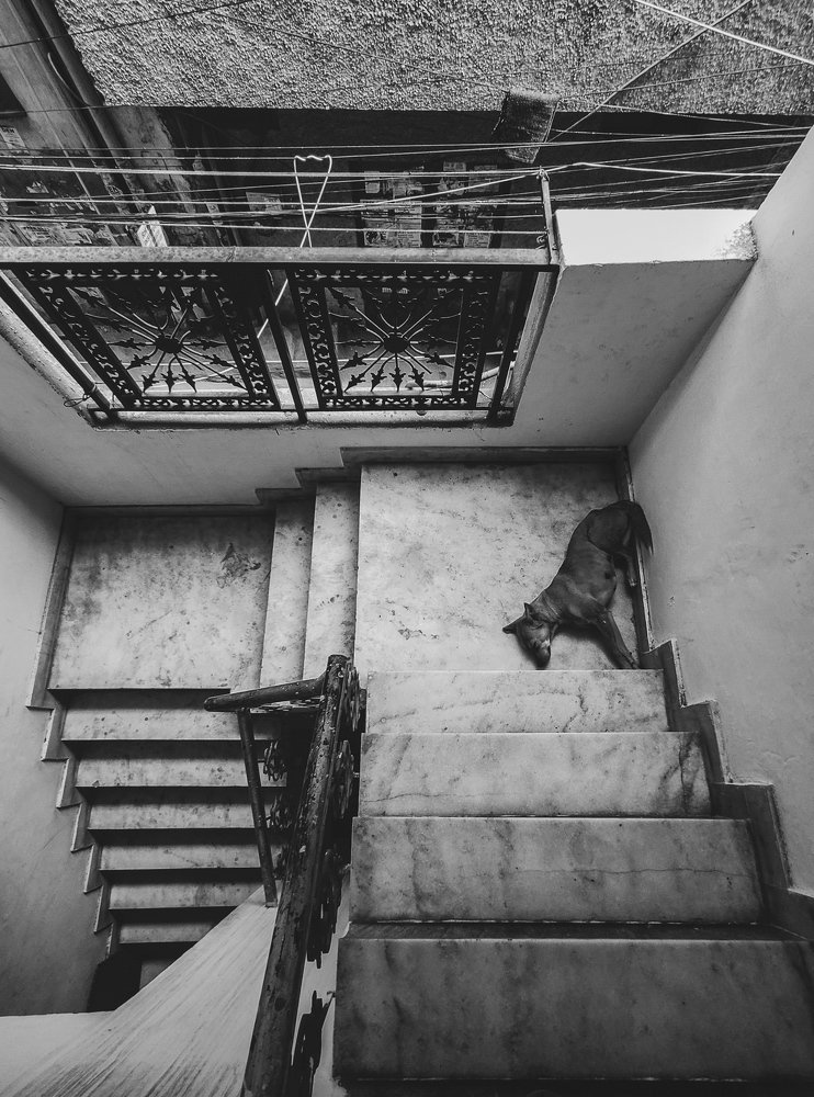 Photograph by Sourabh Sharma