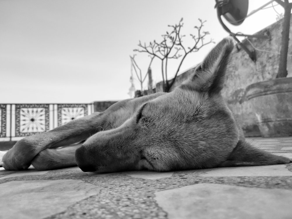 Photograph by Sourabh Sharma