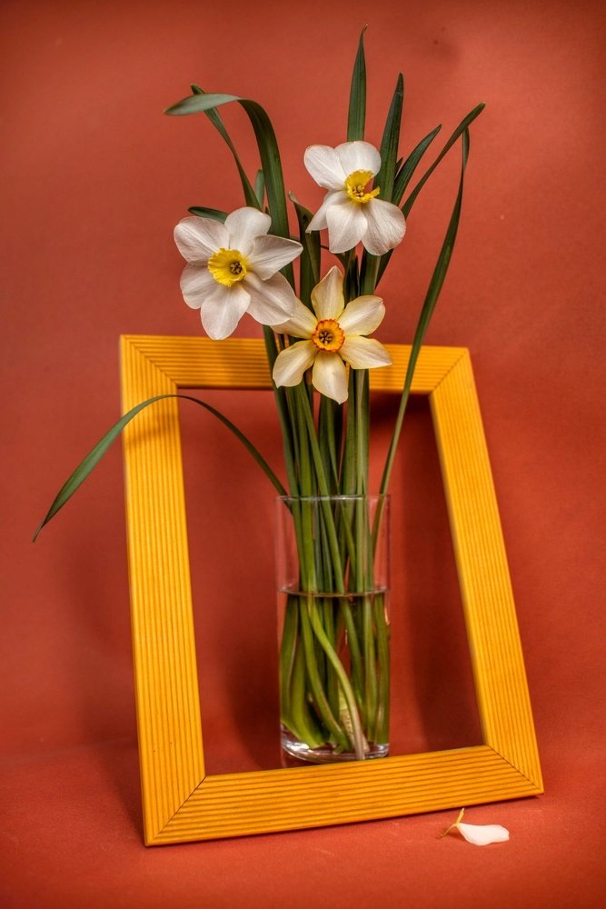 Photograph by Antonina Marchenko