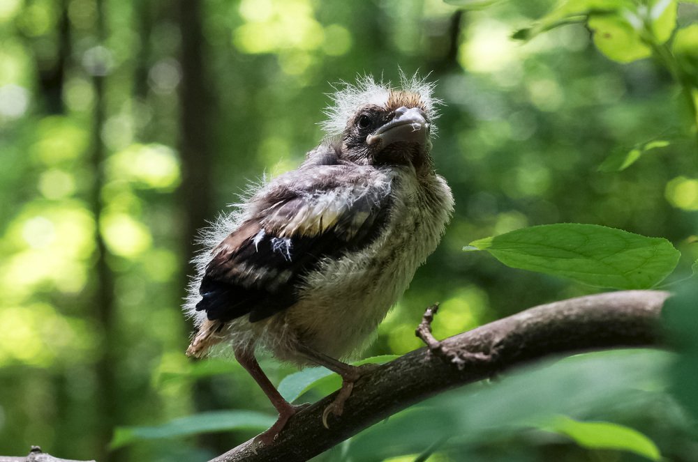 Photograph by Сергей Прокофьев