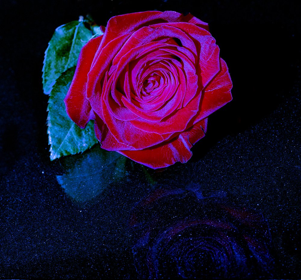 Photograph by Михаил Кондрацкий