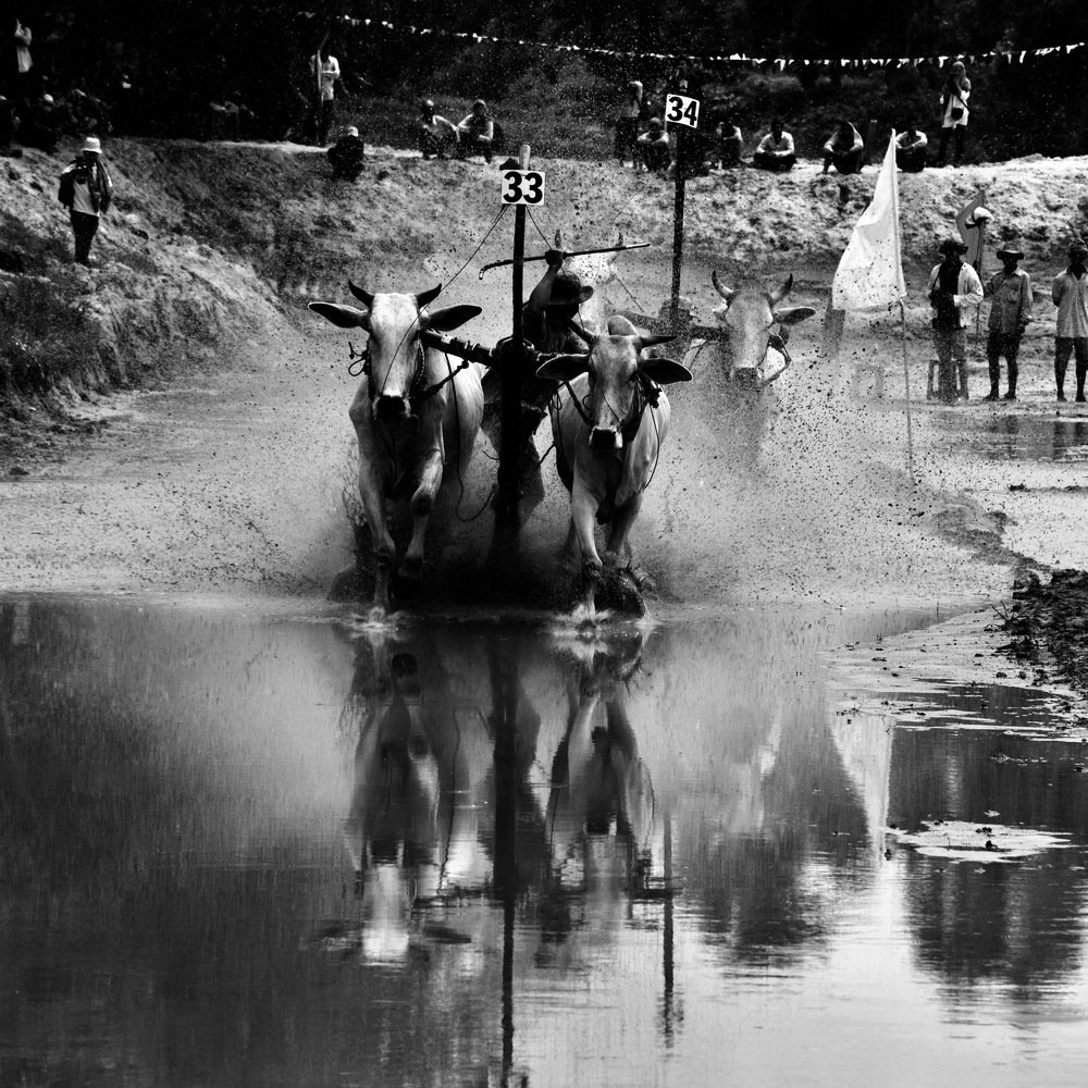 Photograph by HIEU LIEM DO