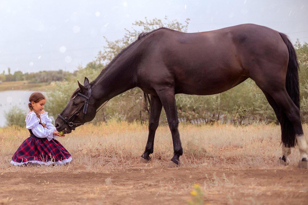 Фотография автора Наталья Трач