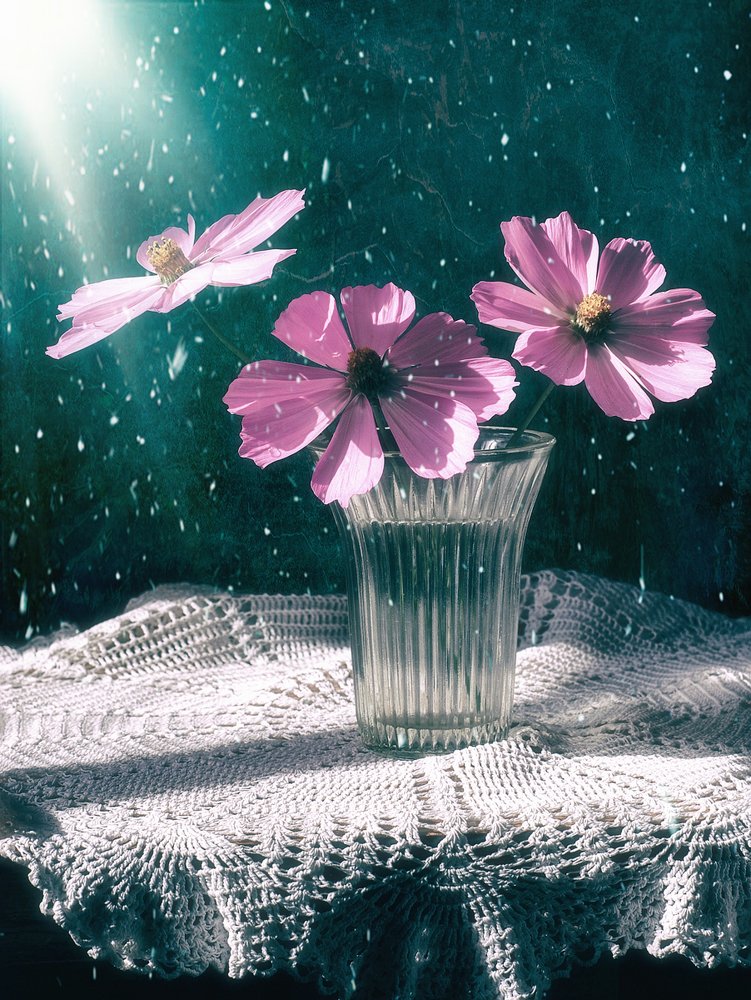 Photograph by Сергей Шварцман