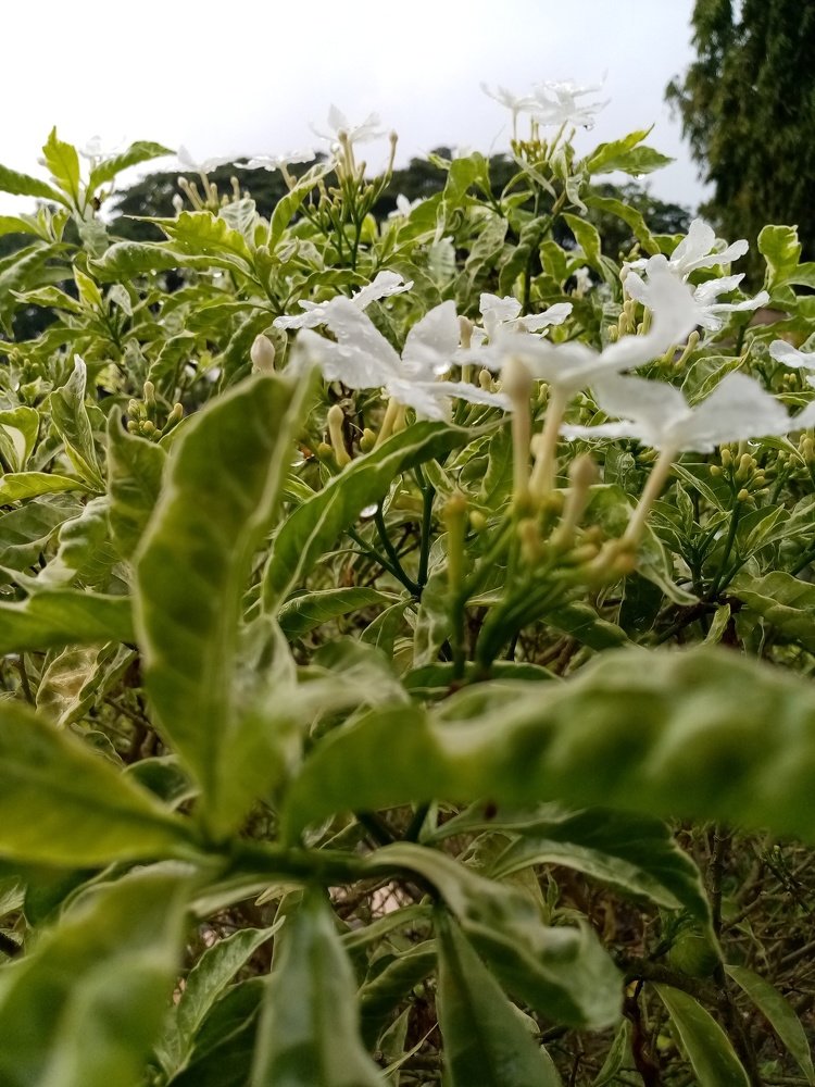 Photo #4956036
