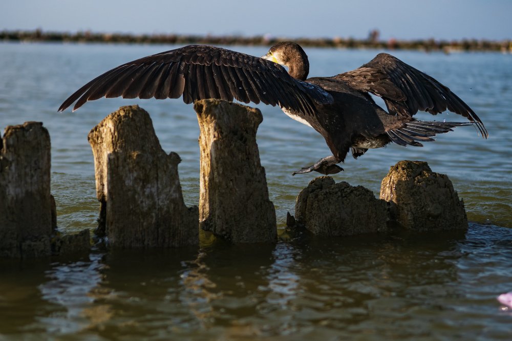 Photograph by Демьян Лопатов