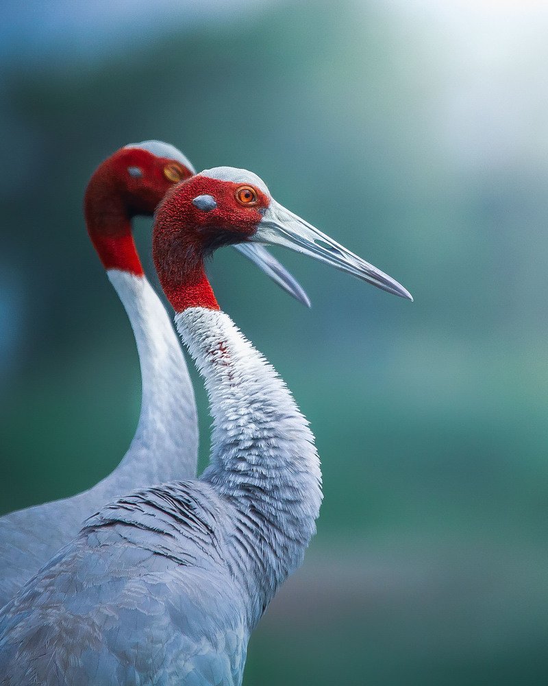 Photograph by Ravi Patel