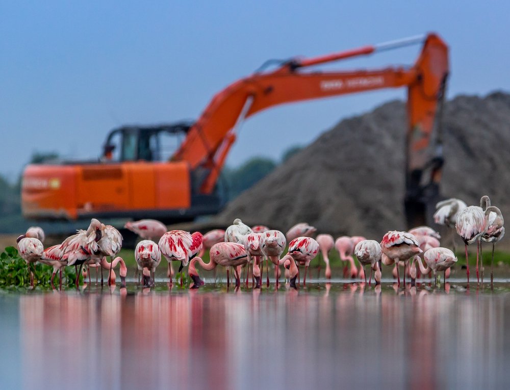 Photograph by Ravi Patel