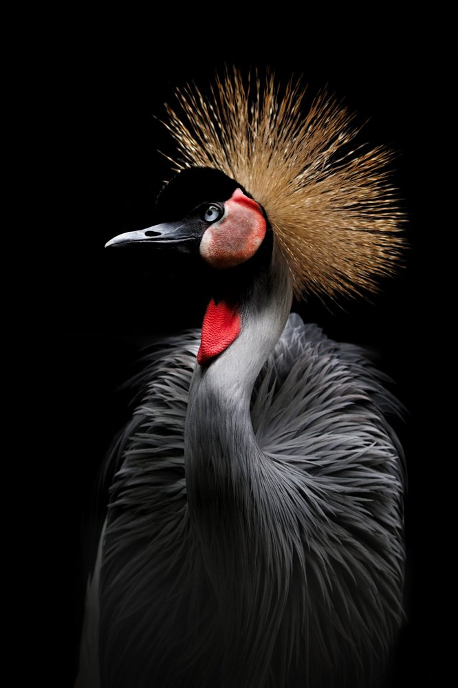 Photograph by Bario hadiprayogo