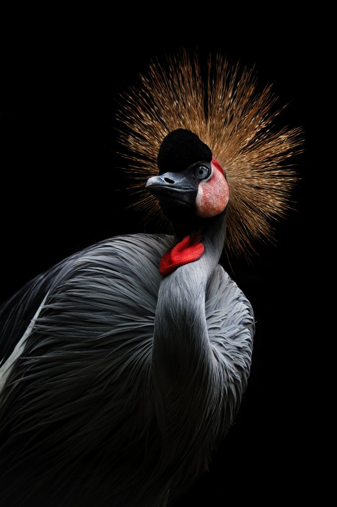 Photograph by Bario hadiprayogo