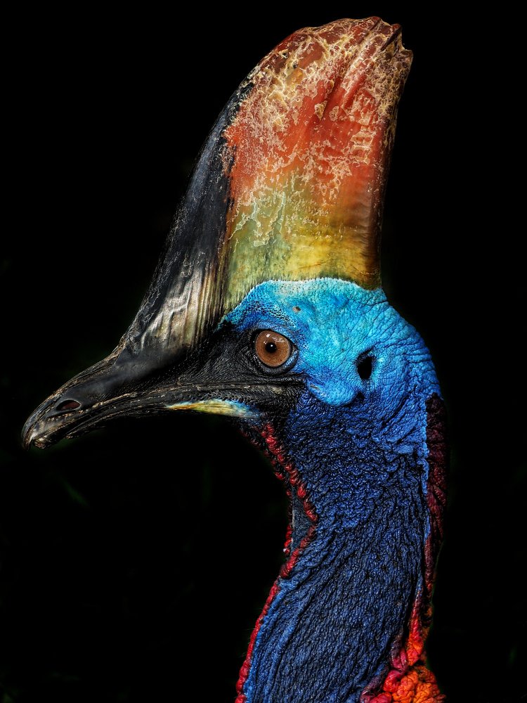 Photograph by Bario hadiprayogo