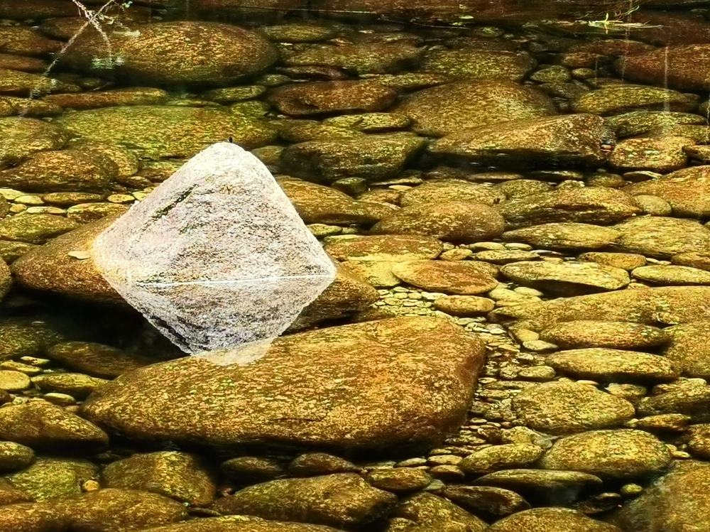 Photograph by Teresa Guerreiro