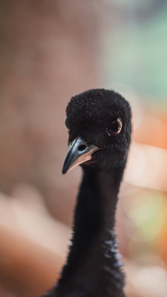 Photograph by Александр Гамалеев