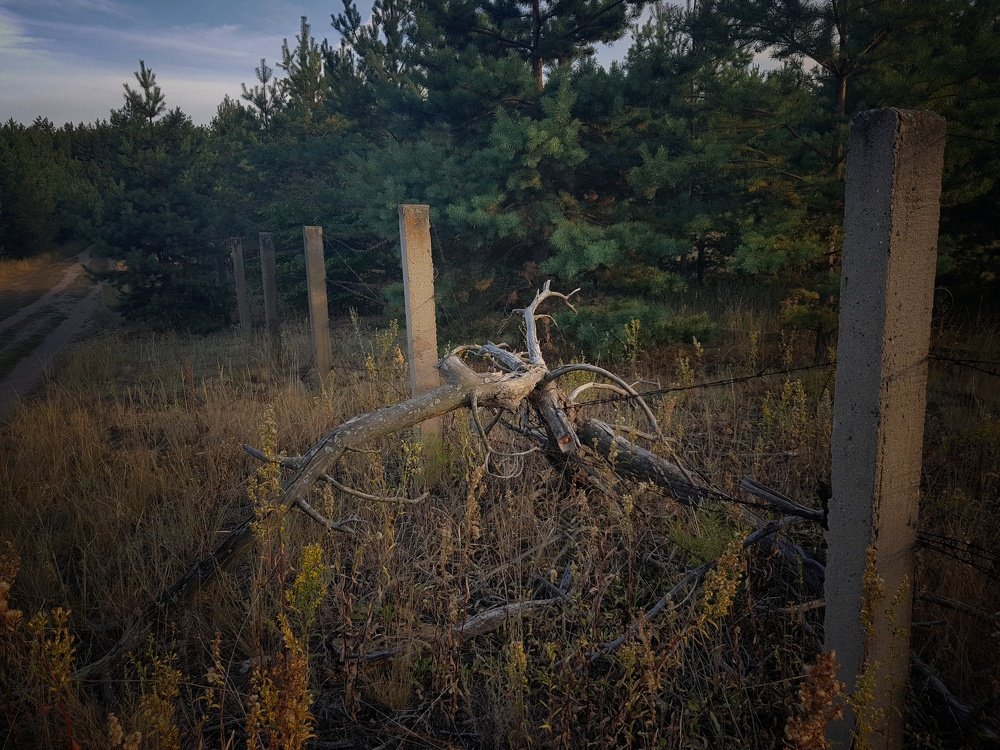 Photograph by Ольга Пумочка-13