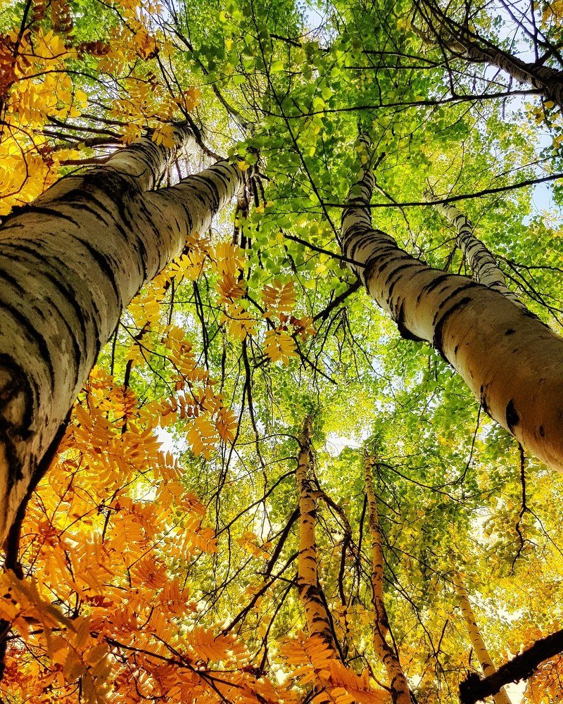 Photograph by Татьяна Мельникова