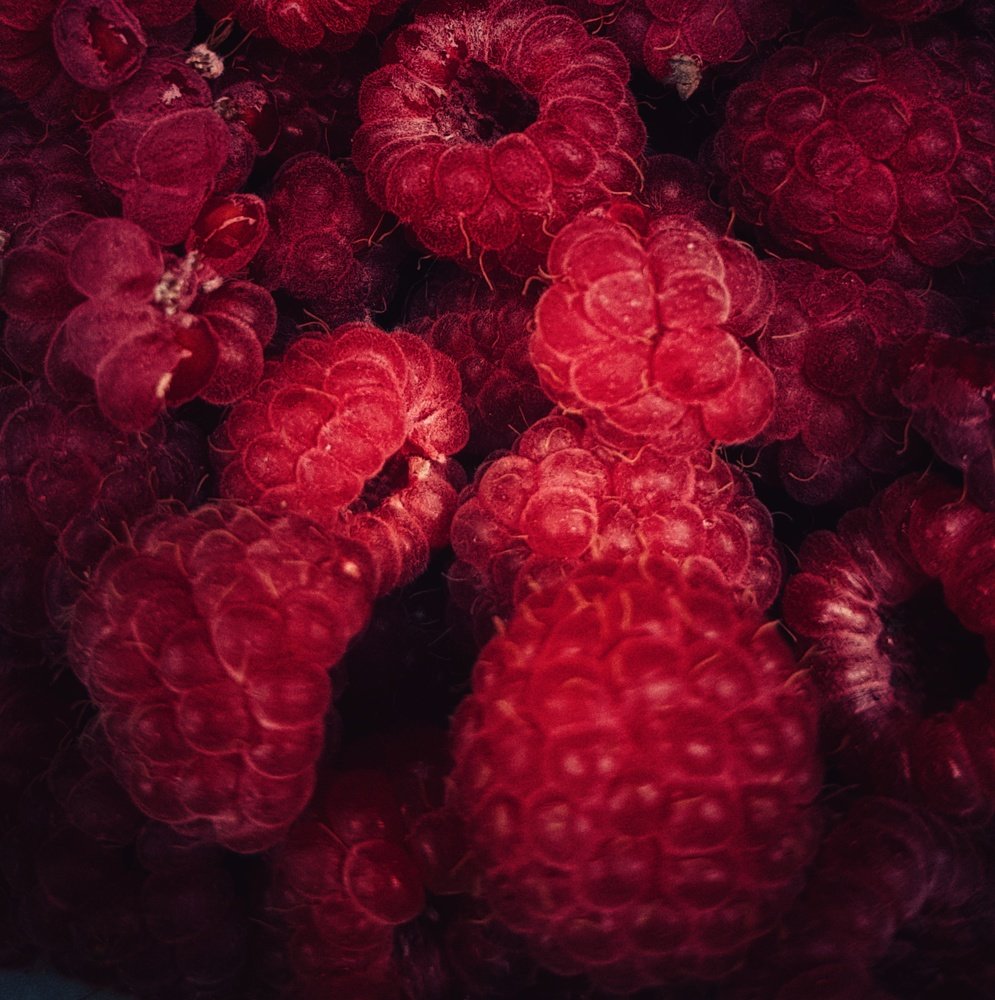 Photograph by Татьяна Мельникова