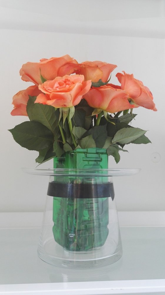 Orange roses