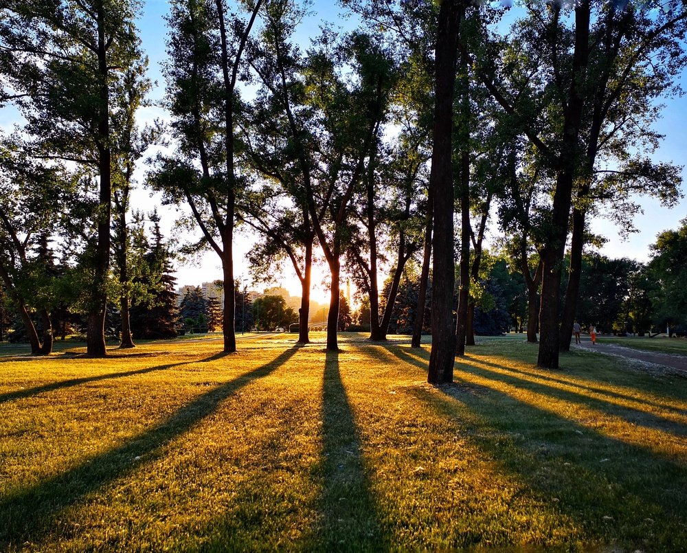 Photograph by Алексей Сащеко