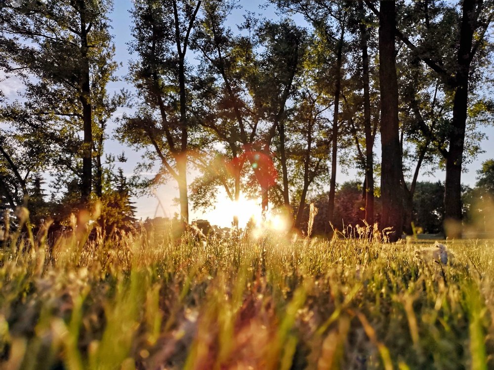 Photograph by Алексей Сащеко