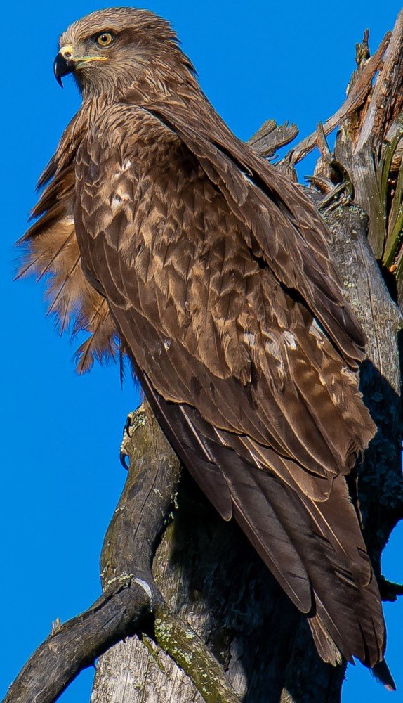 Photograph by Валерий Шурмиль