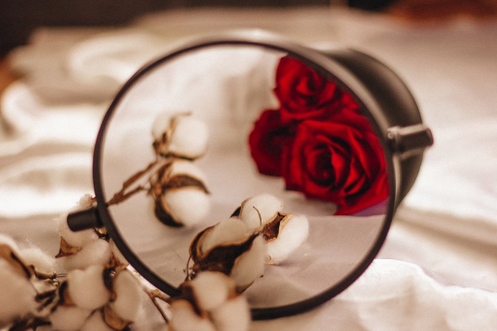 Фотография автора Яна Прошунина