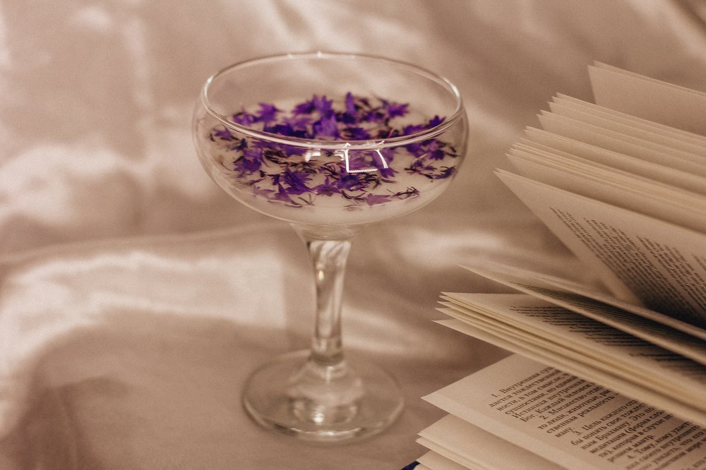 Фотография автора Яна Прошунина