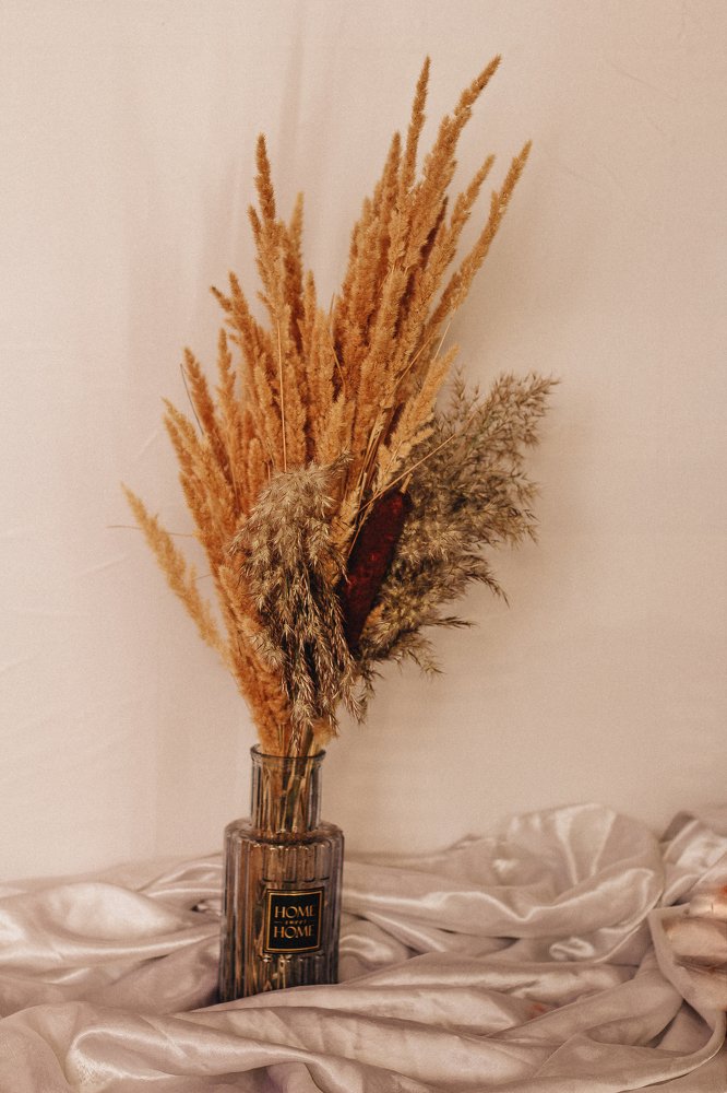 Фотография автора Яна Прошунина