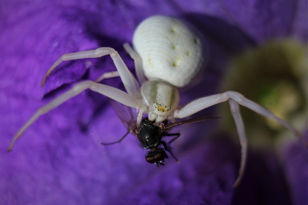 Photograph by Татьяна Фоевцева