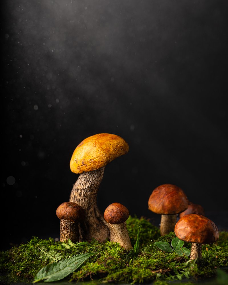 Photograph by Elena Otvodenko