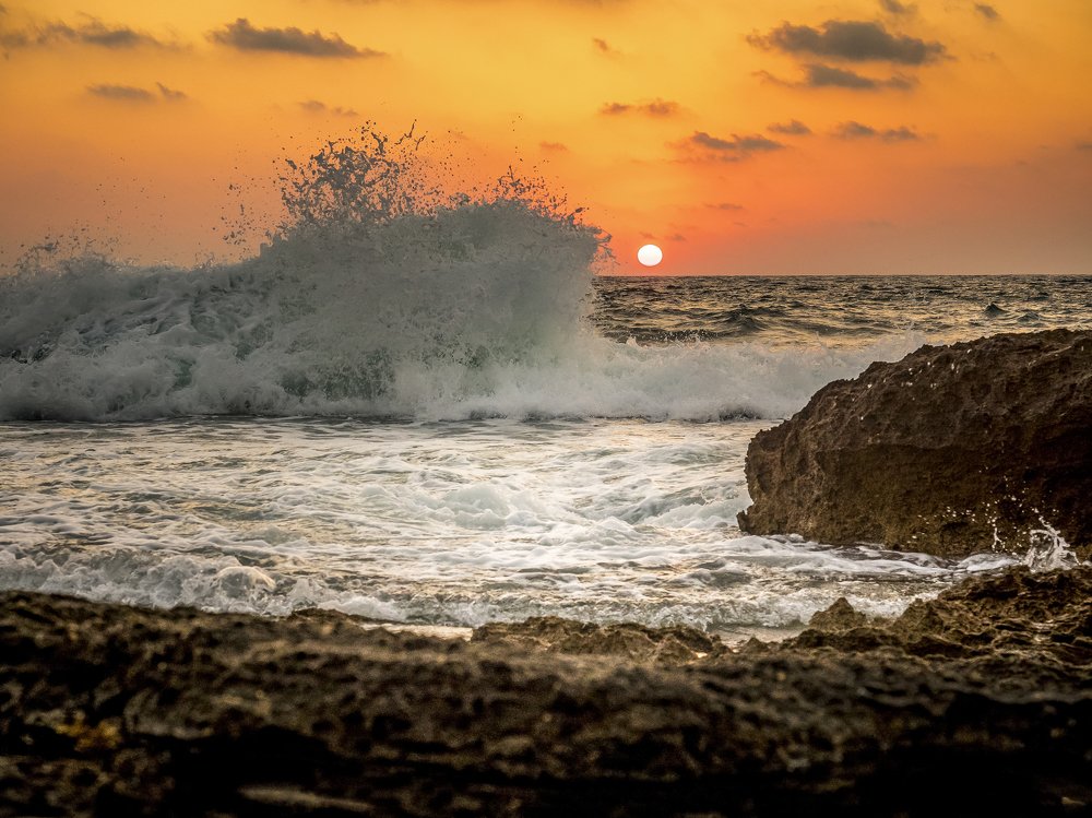 Photograph by Semion Ribinik