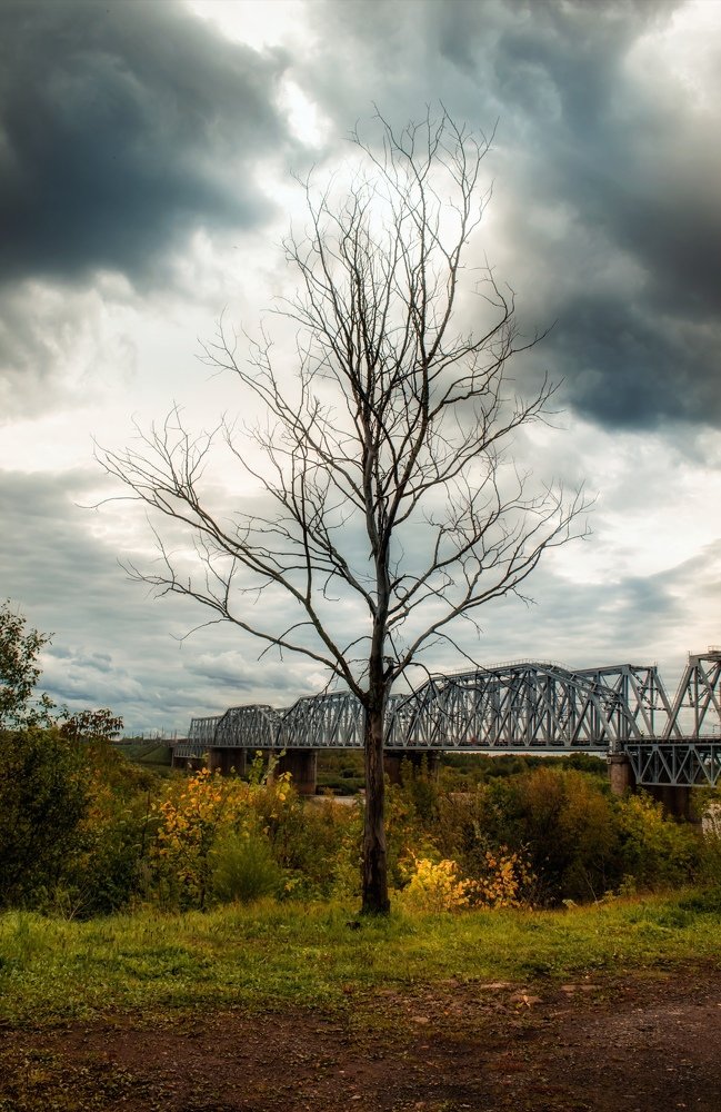 Photograph by Максим Сафияров