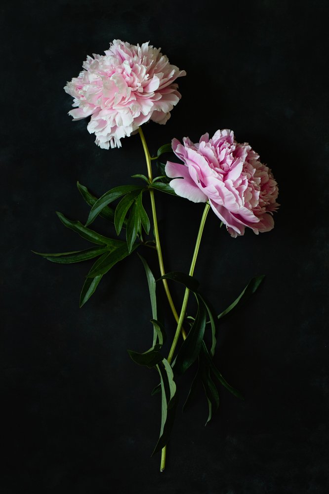 Photograph by Любовь Тернова