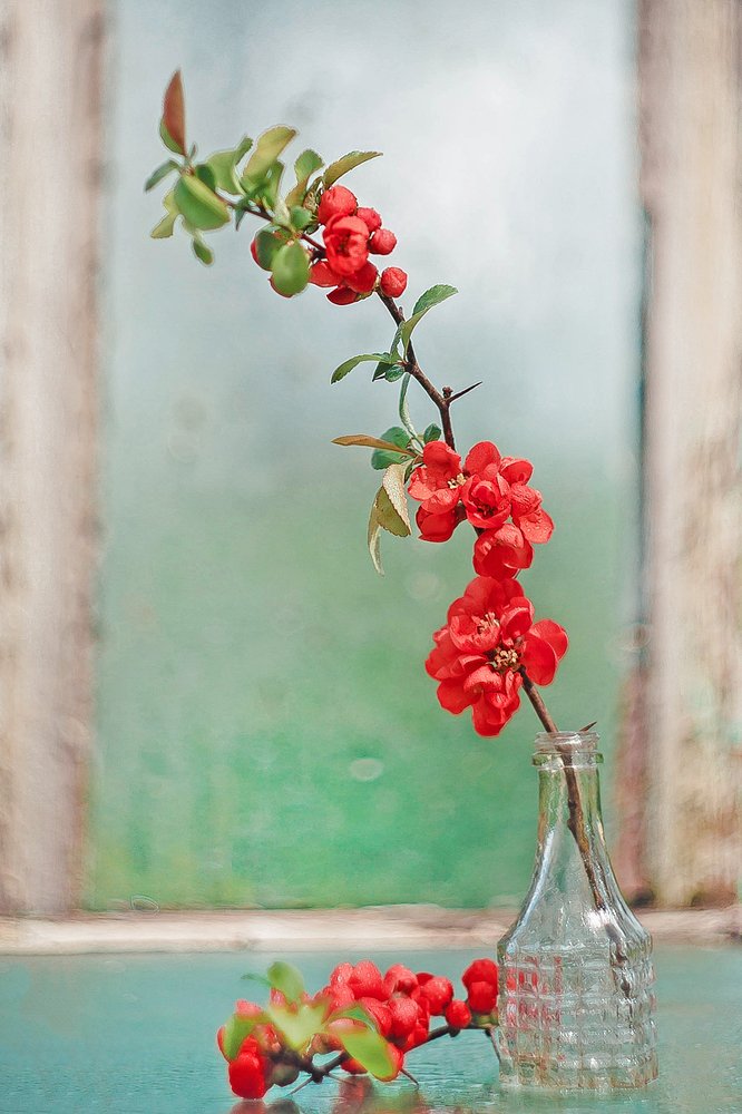 Photograph by Ольга Мурзина