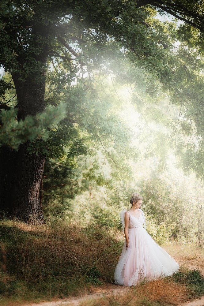 Фотография автора Владимир Кузнецов