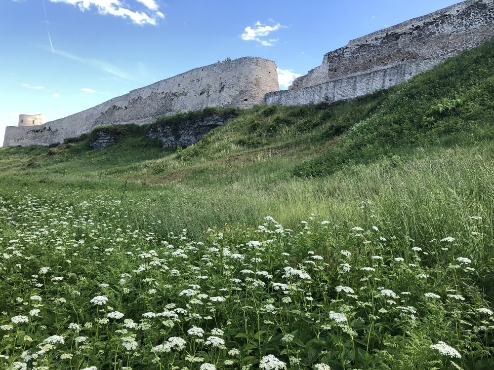 Photograph by Anna Gapanovich