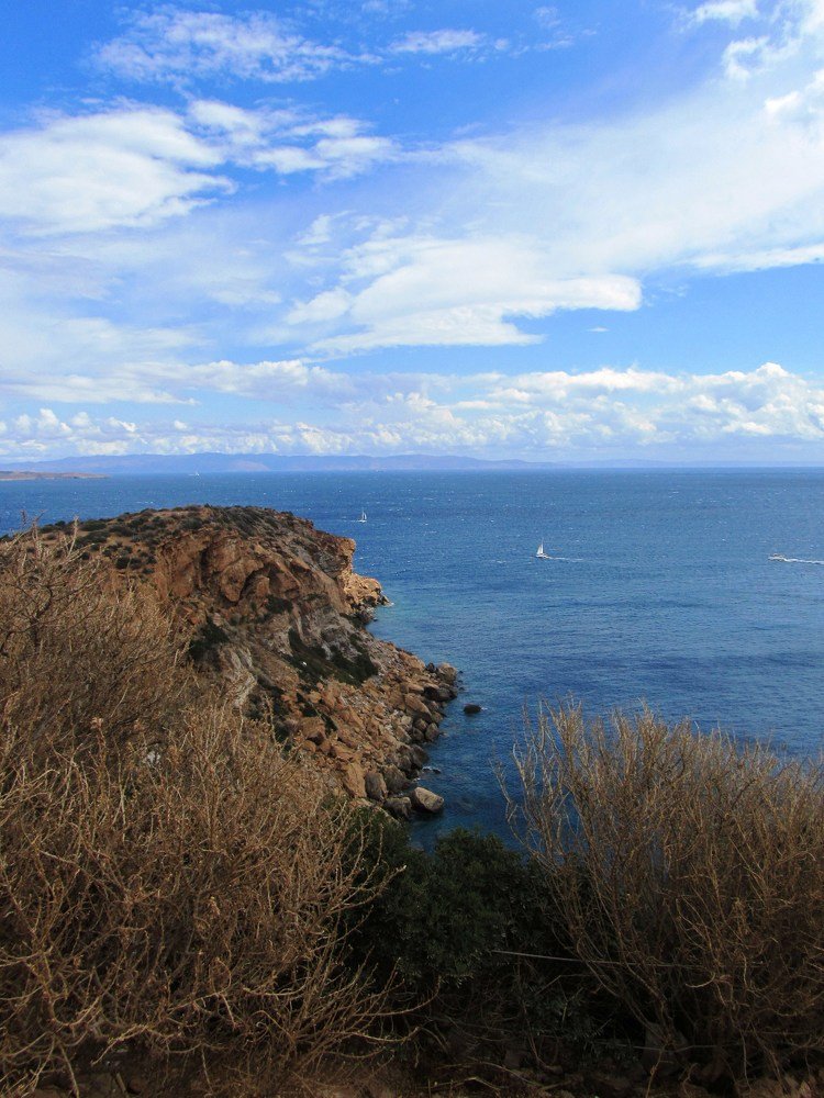 Photo #4956735