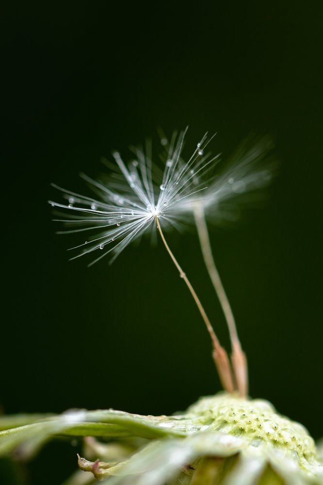 Photograph by Любовь Тернова