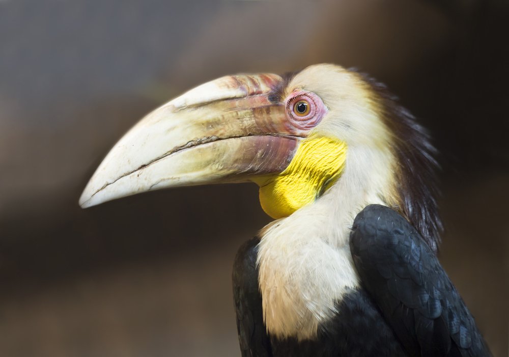 Photograph by Савина Галина