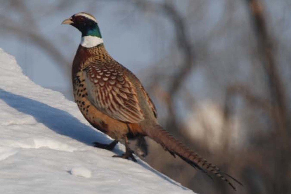 Photograph by Оксана Трофименко