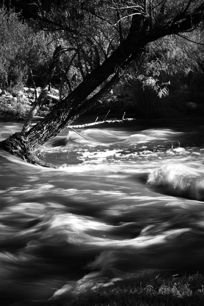 Photograph by veronica lopez