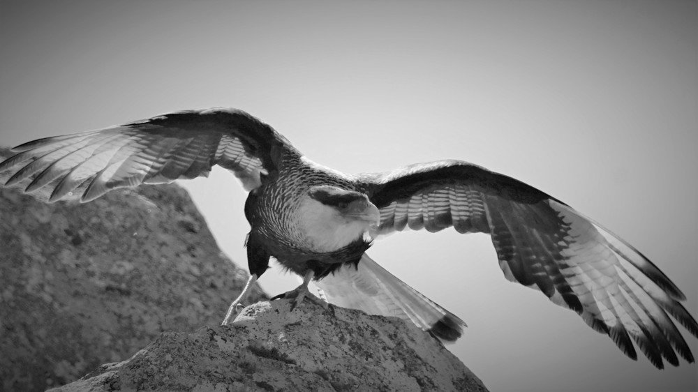 Photograph by Karina Elena Bergagna