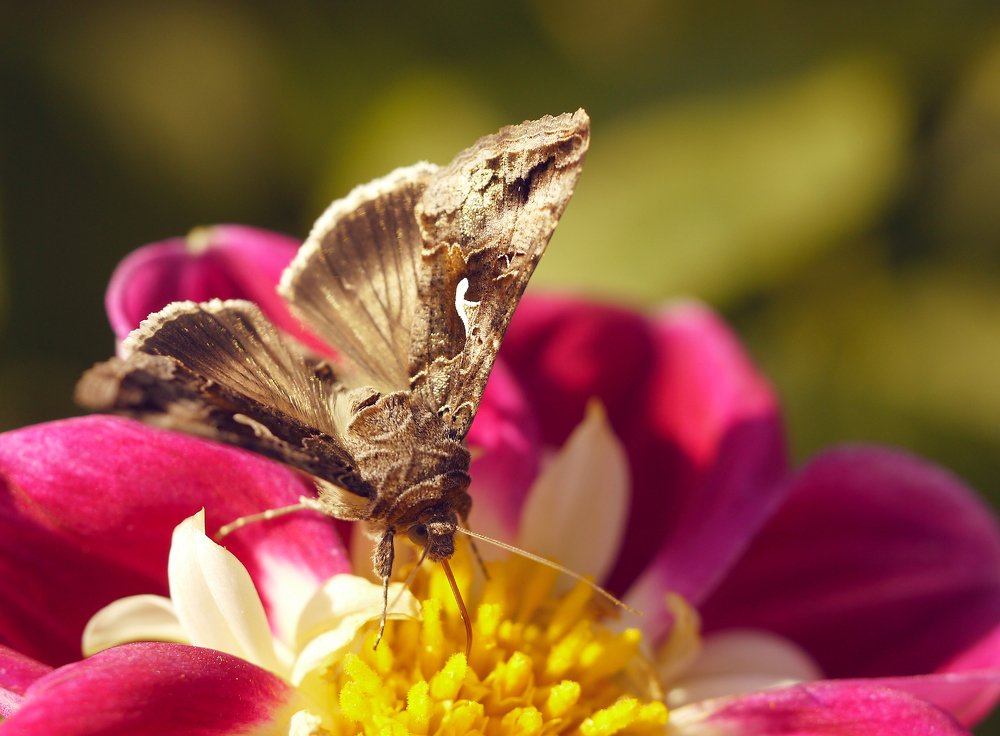 Photograph by Тим Талер