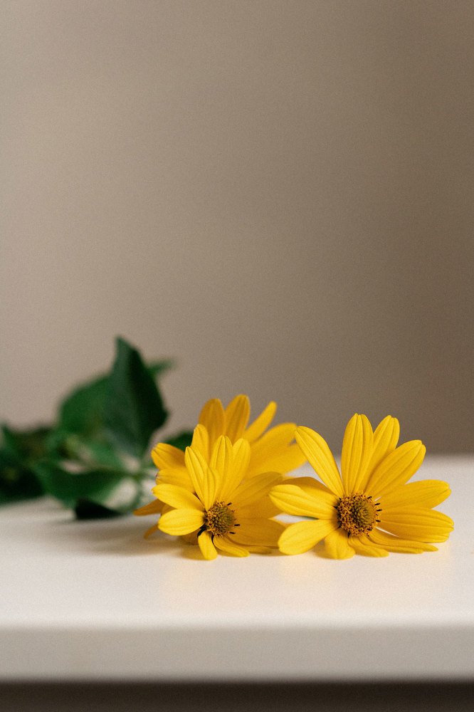 Кусочек солнца