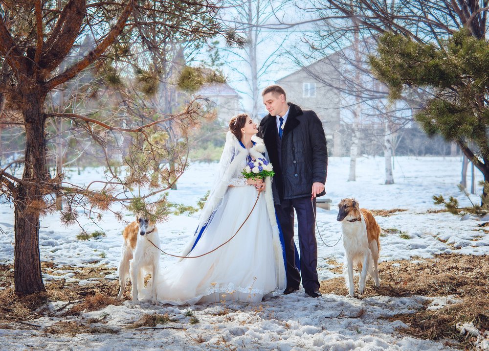 Фотография автора Диана Липкина