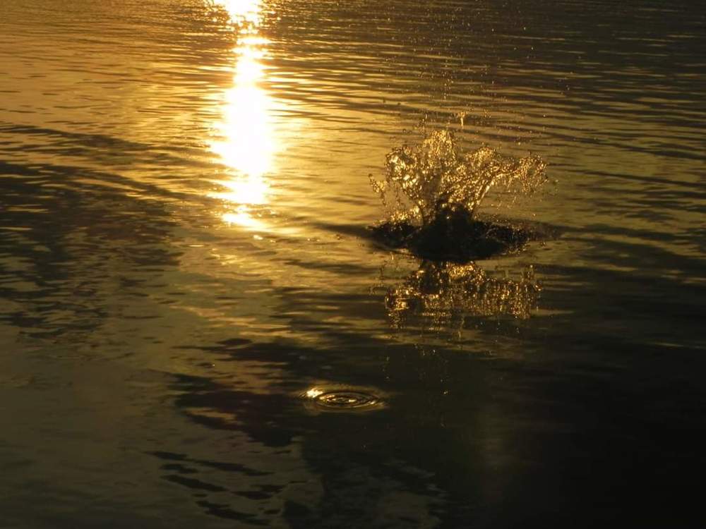 Фотография автора Dr.Natheer Azzawi